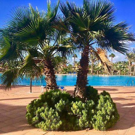Fuerteventura Apartments Corralejo Luaran gambar