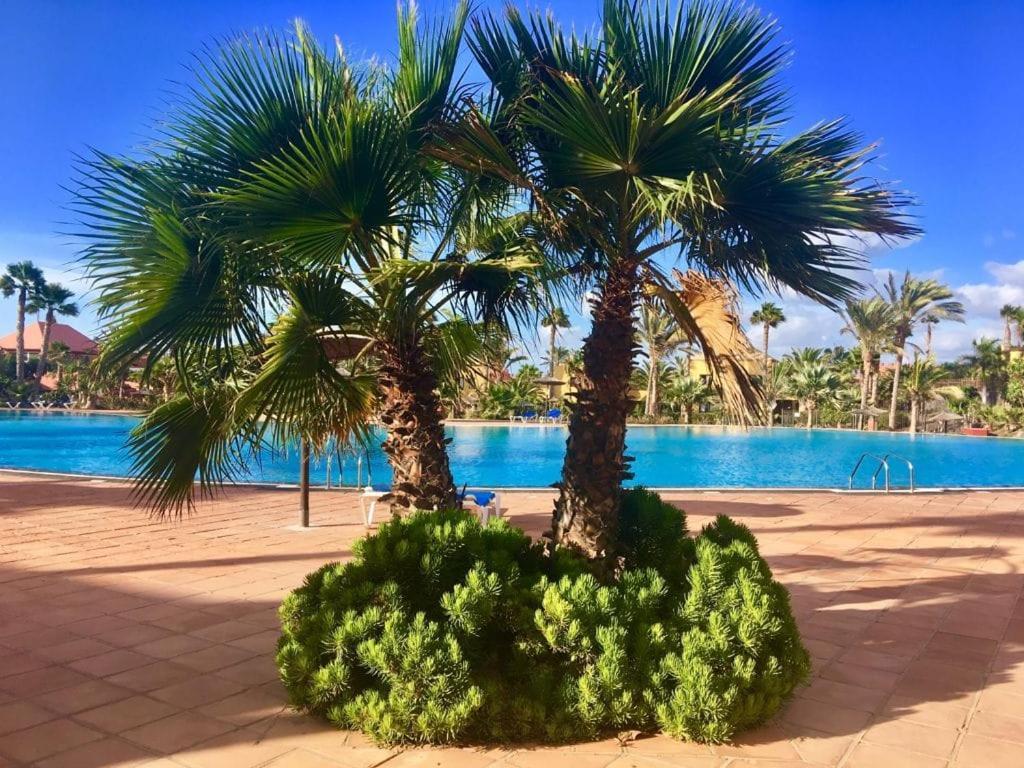 Fuerteventura Apartments Corralejo Luaran gambar