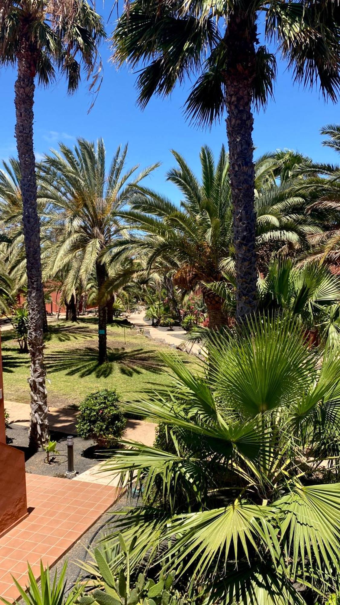 Fuerteventura Apartments Corralejo Luaran gambar